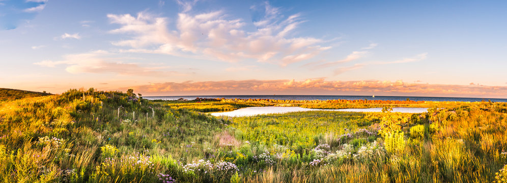 Chicago landscape photo at Northerly Island looking across pool of water and rolling hills during beautiful sunset with wildflowers and grass in foreground at golden hour with clouds in blue sky above