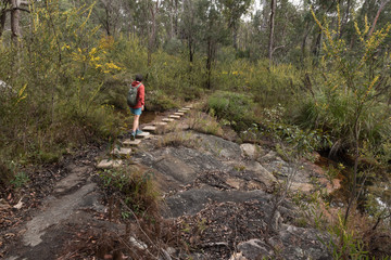 A female, baby boomer, hiker using steps up a rock on a hiking trail in Blackdown Tableland National Park, Queensland, Australia.