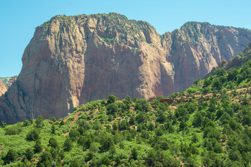 zion park view