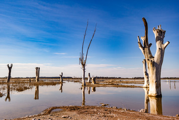 Espejo de Epecu&eacute;n