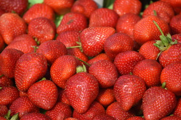 fresas