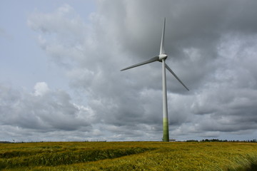 Fototapeta premium Windmill on the lawn