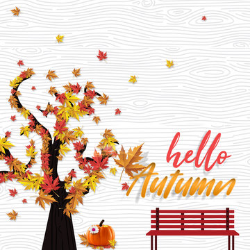 Hello autumn background. Autumn fall leaves vector.