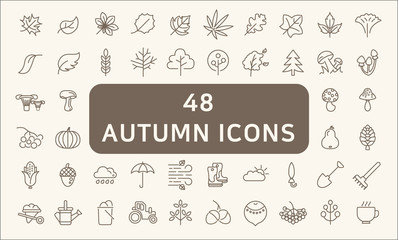 Set Of 48 Autunm Outline Icons