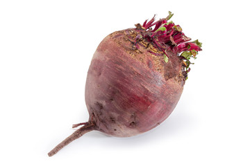Uncooked red beetroot on a white background