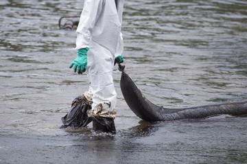 Worker holding Oil containment boom.