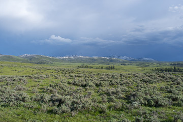Fototapeta na wymiar north yellowstone valley