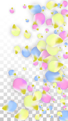 Vector Realistic Colorful Petals Falling on Transparent Background.  Spring Romantic Flowers Illustration. Flying Petals. Sakura Spa Design. Blossom Confetti. Design Elements for Wedding Decoration.