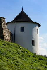 Fototapeta premium Tower of castle Zumberk, Czech republic