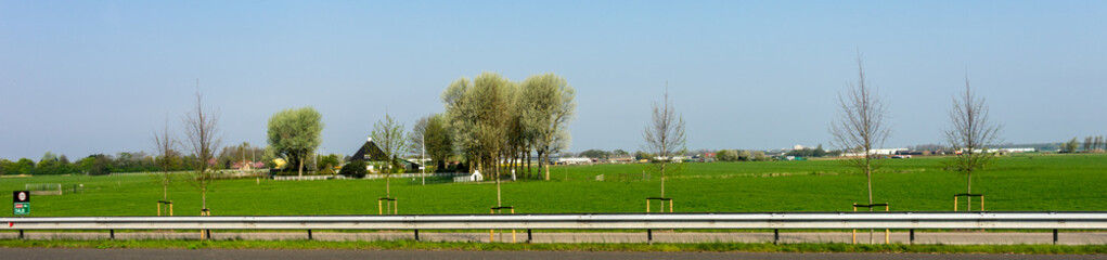 Fototapeta na wymiar Netherlands,Lisse, a close up of a lush green field