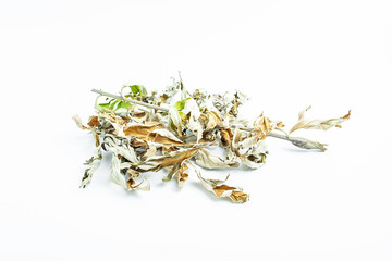 Chinese herbal medicine dried sun leaves