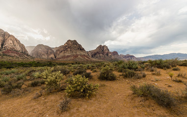 Red Rock Canyon - Nevada