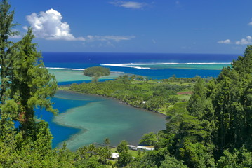 Naklejka premium lagon sous la forêt tahitienne