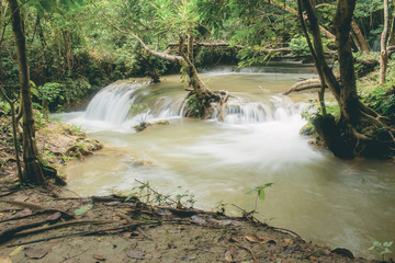 Waterfall in rainy season and tree.