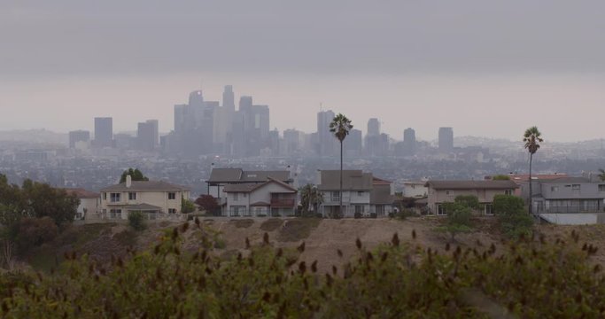 Downtown Los Angeles city skyline with houses, palm trees and wild plants in the foreground. Locked off, 4K