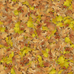 Autumn oak leaves background