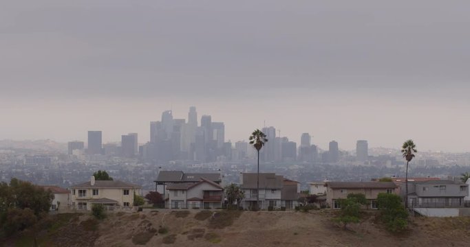 Downtown Los Angeles city skyline with houses, palm trees and wild plants in the foreground. Pan from left to right 4K