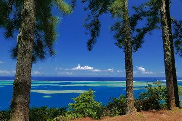 Fototapeta na wymiar lagon sous la forêt tahitienne