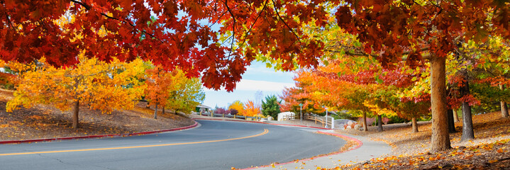 Road through colorful trees in autumn 