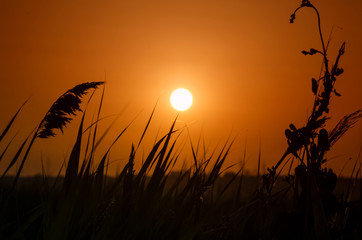 Beautiful sunset in the prairie. Unique sunset in orange tones