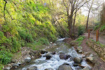 water stream running over rocks