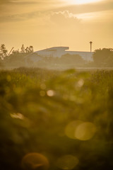 After the rain before sunset