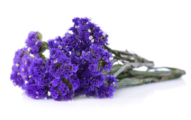 Dry statice flower on white background
