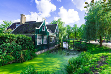 Fototapeta na wymiar オランダの風車村の光景