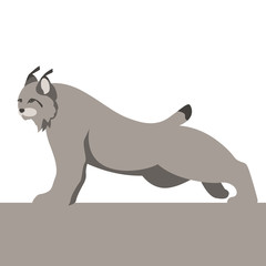 lynx  vector illustration flat style profile side
