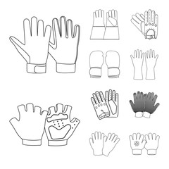 Vector design of glove and winter icon. Collection of glove and equipment stock symbol for web.