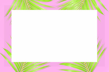 Fototapeta premium Palm tree design on pink background for your texture or concept,Sale billboards