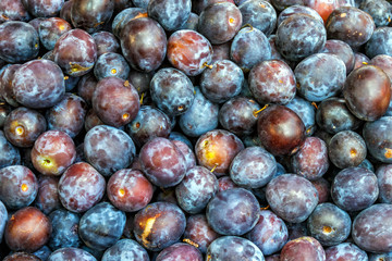 organic plum fruit on the farm market. Ripe juicy plums as background