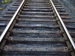 railway in autumn forest