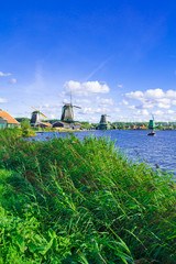 Fototapeta premium オランダの風車のある光景