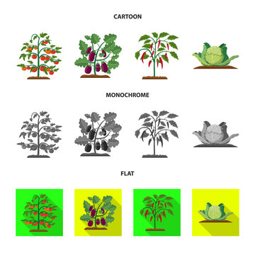 Vector design of greenhouse and plant icon. Set of greenhouse and garden stock symbol for web.