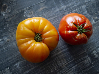 fresh bright tomatos