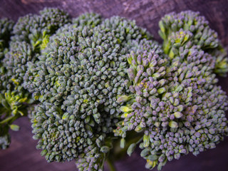 fresh beautiful broccoli