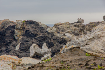 Animal de piedra