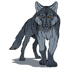 wolf, isolated on white background, colour illustration, suitable as logo or team mascot, dangerous forest predator, wolf's head, wild animal, gray wolf in full growth, vector graphics to design