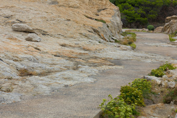 Camino entrelazado con piedra