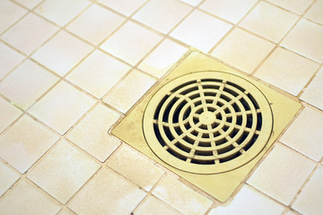 Bathroom floor drain with hairy strainer