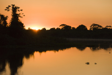 Sunrise over River in the Brasil Pantanal