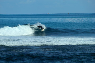 Fototapeta na wymiar surf 974