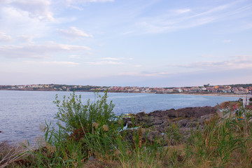 Fototapeta na wymiar Coast with rocks and grass and the sea