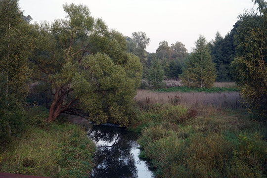 Ucha river