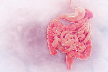 Human digestive system on scientific background