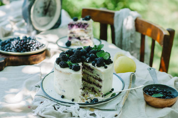 Blueberry lemon cake in a rustic garden