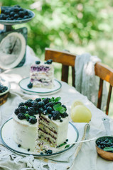 Blueberry lemon cake in a rustic garden