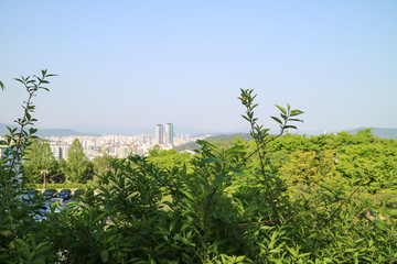Fototapeta na wymiar Skyscraper Cityscape of Korea 