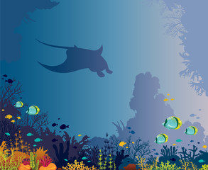 Manta, fishes, coral reef and underwater sea.
